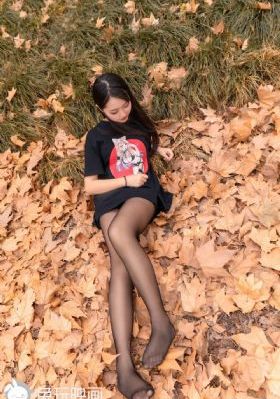 主妇的战争电视剧免费观看全集
